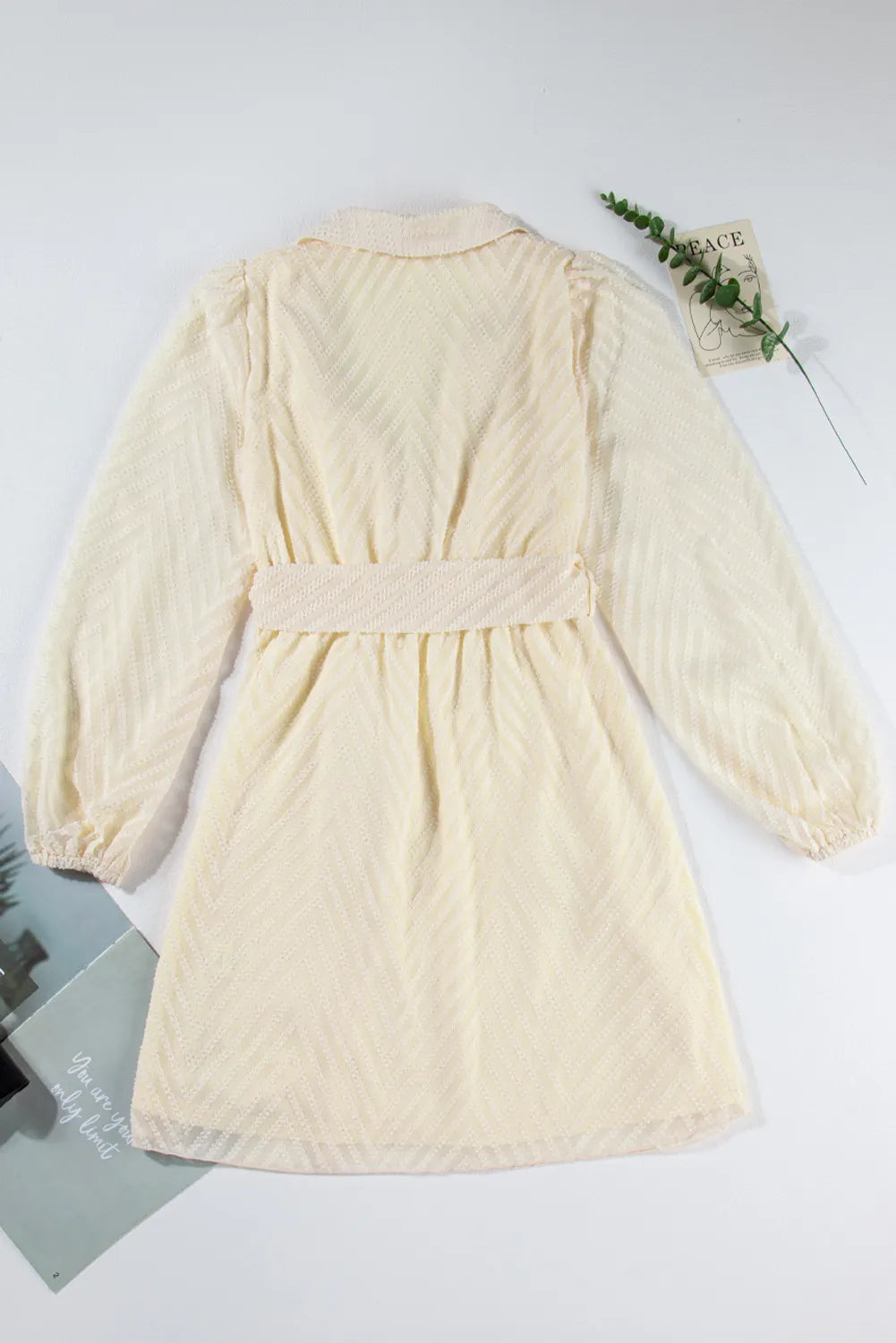 Surplice Long Sleeve Mini Dress   