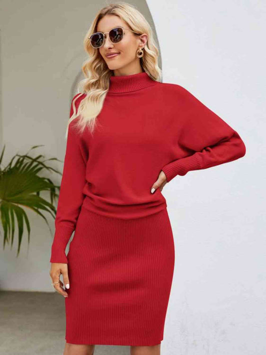 Turtle Neck Long Sleeve Ribbed Sweater Dress Deep Red S 
